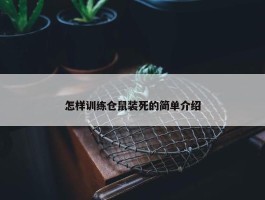 怎样训练仓鼠装死的简单介绍