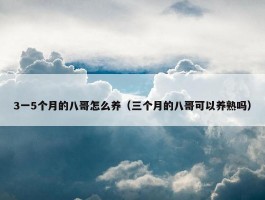 3一5个月的八哥怎么养（三个月的八哥可以养熟吗）