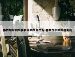 塞内加尔鹦鹉和和尚鹦鹉哪个好 塞内加尔鹦鹉聪明吗