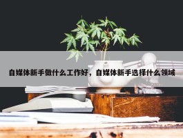 自媒体新手做什么工作好，自媒体新手选择什么领域