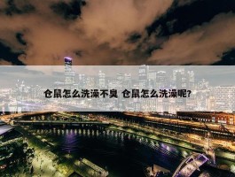 仓鼠怎么洗澡不臭 仓鼠怎么洗澡呢?