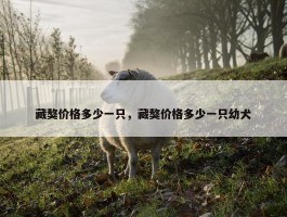 藏獒价格多少一只，藏獒价格多少一只幼犬