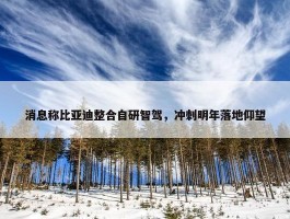 消息称比亚迪整合自研智驾，冲刺明年落地仰望