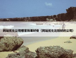 网站优化公司哪家效果好些（网站优化比较好的公司）