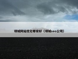 项城网站优化哪家好（项城seo公司）