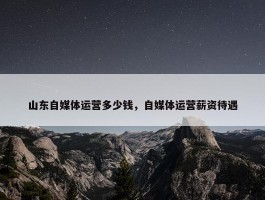 山东自媒体运营多少钱，自媒体运营薪资待遇