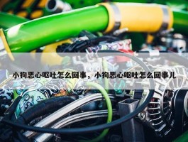 小狗恶心呕吐怎么回事，小狗恶心呕吐怎么回事儿