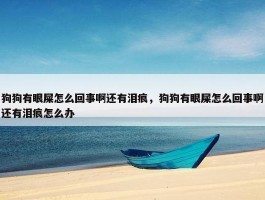 狗狗有眼屎怎么回事啊还有泪痕，狗狗有眼屎怎么回事啊还有泪痕怎么办