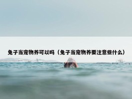 兔子当宠物养可以吗（兔子当宠物养要注意些什么）