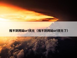 搜不到网站url优化（搜不到网站url优化了）