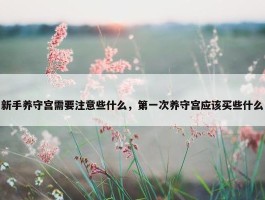 新手养守宫需要注意些什么，第一次养守宫应该买些什么