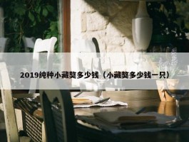 2019纯种小藏獒多少钱（小藏獒多少钱一只）