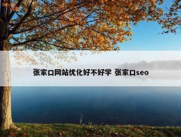 张家口网站优化好不好学 张家口seo