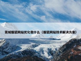 莞城服装网站优化做什么（服装网站技术解决方案）