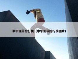 中华仙草排行榜（中华仙草排行榜图片）