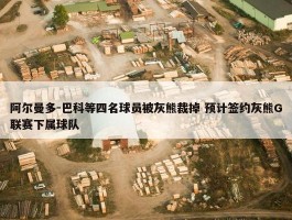 阿尔曼多-巴科等四名球员被灰熊裁掉 预计签约灰熊G联赛下属球队