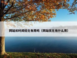 网站长时间优化有用吗（网站优化有什么用）