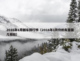 2016年1月轿车排行榜（2016年1月份的车是国几排放）