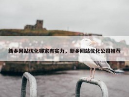 新乡网站优化哪家有实力，新乡网站优化公司推荐