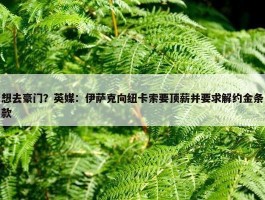 想去豪门？英媒：伊萨克向纽卡索要顶薪并要求解约金条款