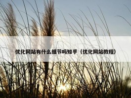 优化网站有什么细节吗知乎（优化网站教程）