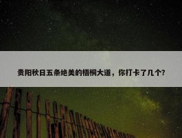 贵阳秋日五条绝美的梧桐大道，你打卡了几个？