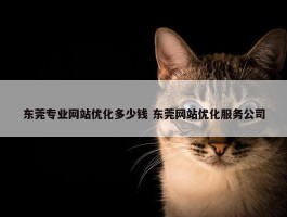 东莞专业网站优化多少钱 东莞网站优化服务公司