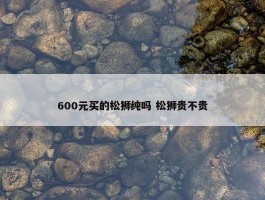 600元买的松狮纯吗 松狮贵不贵