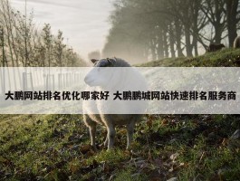 大鹏网站排名优化哪家好 大鹏鹏城网站快速排名服务商