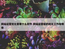 网站运营优化需要什么软件 网站运营前的优化工作有哪些