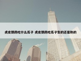 虎皮鹦鹉吃什么瓜子 虎皮鹦鹉吃瓜子生的还是熟的