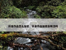 抖音作品怎么加密，抖音作品加密会限流吗