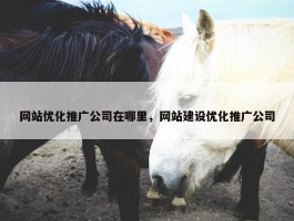 网站优化推广公司在哪里，网站建设优化推广公司