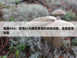 美国FDA：警惕AI大模型带来的未知问题，亟需监管创新