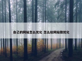 自己的网站怎么优化 怎么给网站做优化