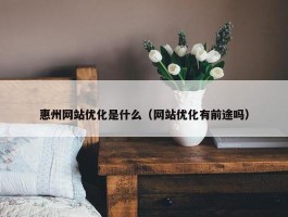 惠州网站优化是什么（网站优化有前途吗）