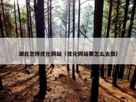 湖北怎样优化网站（优化网站要怎么去做）