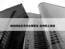 亳州网站首页优化哪里有 亳州网上商城