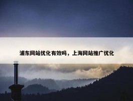 浦东网站优化有效吗，上海网站推广优化