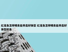 红龙鱼怎样喂食能养出好体型 红龙鱼怎样喂食能养出好体型的鱼