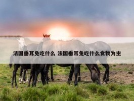 法国垂耳兔吃什么 法国垂耳兔吃什么食物为主