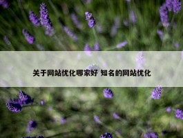 关于网站优化哪家好 知名的网站优化