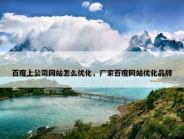 百度上公司网站怎么优化，厂家百度网站优化品牌