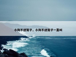 小狗不进笼子，小狗不进笼子一直叫