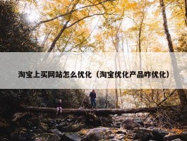 淘宝上买网站怎么优化（淘宝优化产品咋优化）