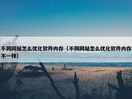 不同网站怎么优化软件内存（不同网站怎么优化软件内存不一样）