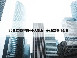 60鱼缸能养哪种中大型鱼，60鱼缸养什么鱼