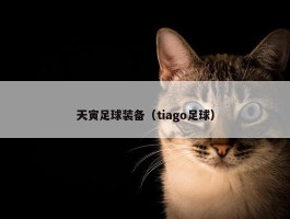 天寅足球装备（tiago足球）