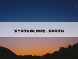 波士顿梗有哪几种颜色，波斯顿梗狗