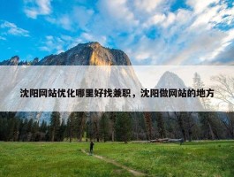 沈阳网站优化哪里好找兼职，沈阳做网站的地方